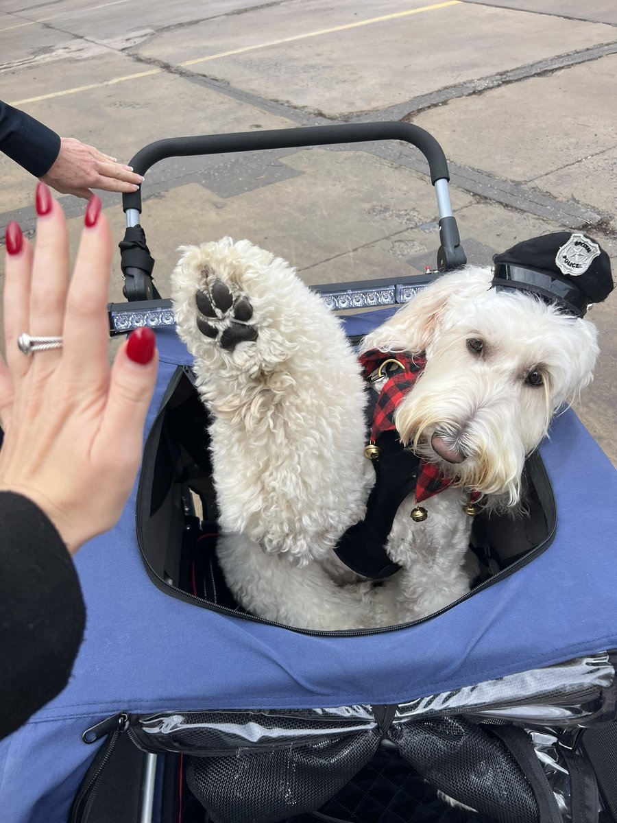 TaylorThompTV's tweet photo. High five for everyone’s favorite officer! Officer Kora with @AshevillePolice was nationally recognized for comforting officers during Helene. She’s one of APDs therapy dogs and is now the winner of the First Responder Paws Therapy Dog Award. Go Kora! 🐶@WLOS_13 https://t.co/1t454ylE4o