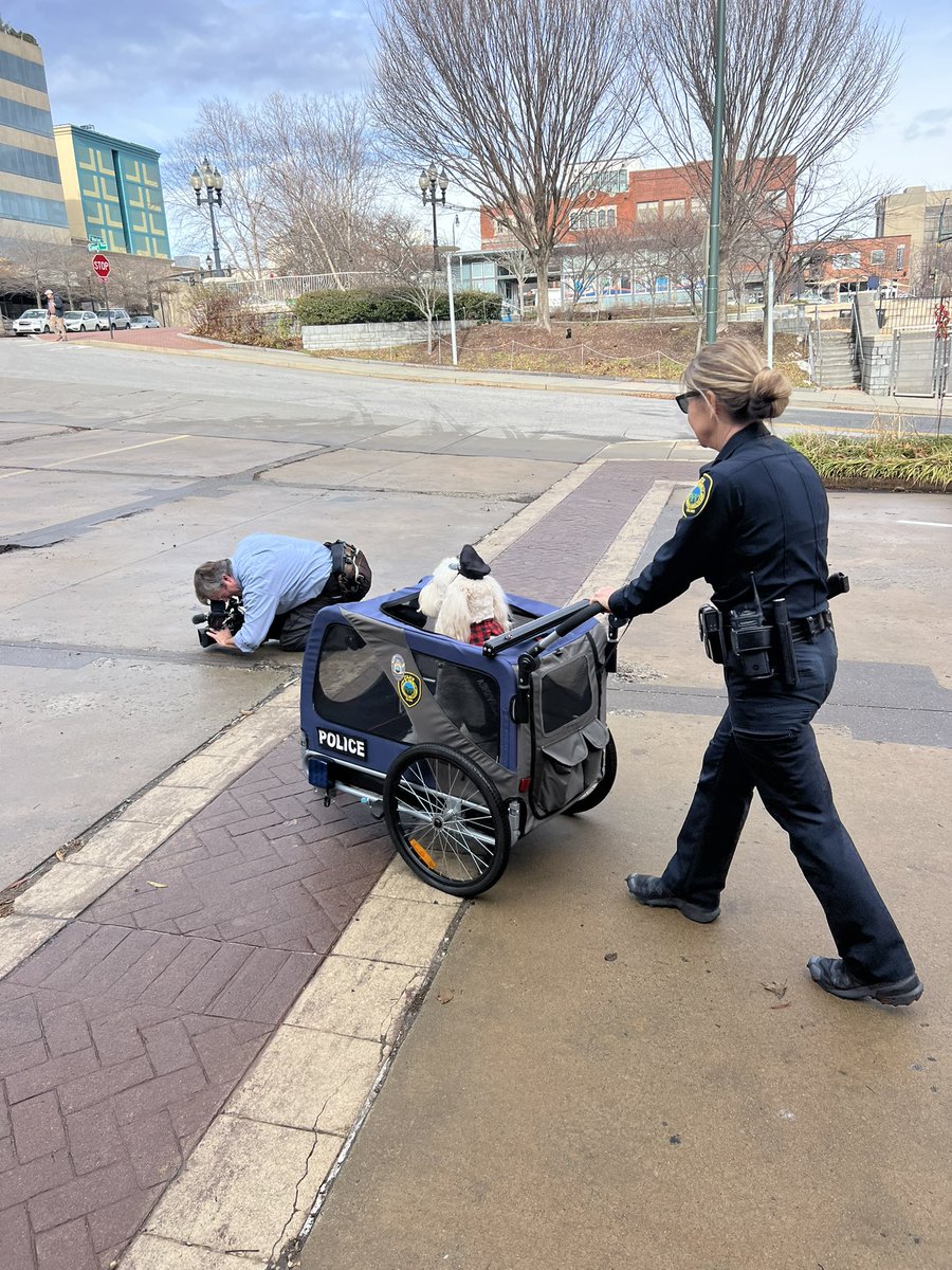 TaylorThompTV's tweet photo. High five for everyone’s favorite officer! Officer Kora with @AshevillePolice was nationally recognized for comforting officers during Helene. She’s one of APDs therapy dogs and is now the winner of the First Responder Paws Therapy Dog Award. Go Kora! 🐶@WLOS_13 https://t.co/1t454ylE4o