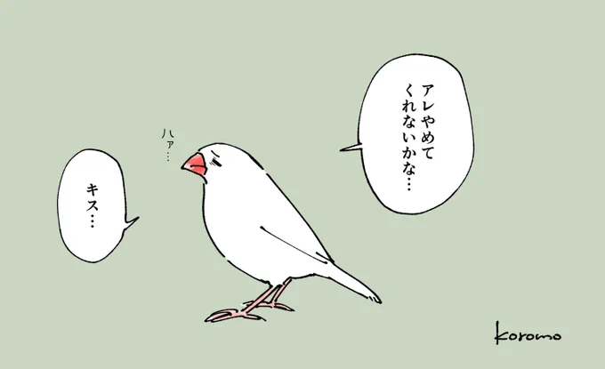 いつも嫌々されてくれてありがとう…やめられなくてごめん…やめられるわけないだろ… 