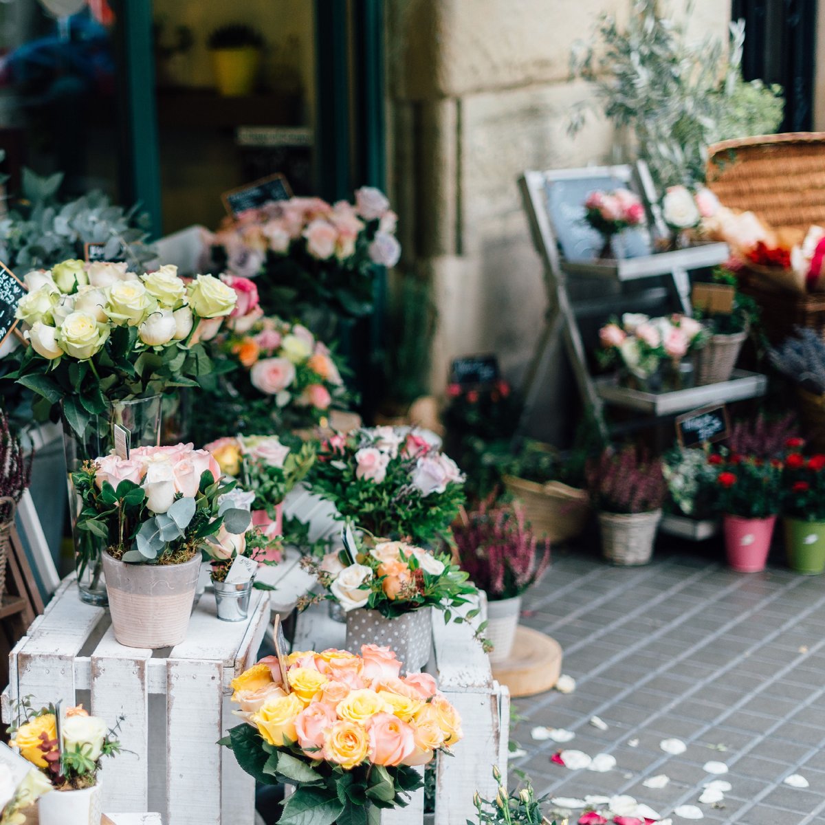 BlakeEstates's tweet photo. It's always a good idea to have a go-to spot to pick up flowers and cards for those last-minute gifts. Where in Hyde Park do you usually go to when you're headed to a birthday party or celebratory dinner?

Visit our website to explore everything in our neighborhood. https://t.co/FWY3oGGQJ1