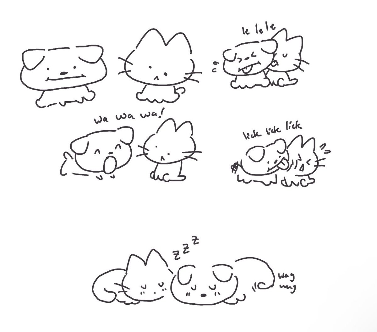 can puppy and kitty really get along?