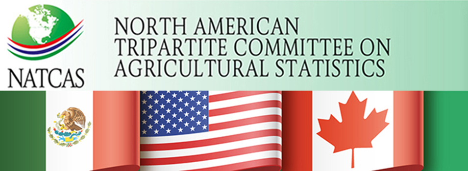 INEGI_INFORMA's tweet photo. 🌾📊 Conoce el nuevo sitio web del Comité Tripartita de América del Norte de Estadísticas Agropecuarias #NATCAS, una colaboración entre el Servicio de Información Agroalimentaria y Pesquera @siap_mx y nuestros homólogos en Canadá @StatCan_eng y Estados Unidos @USDA_NASS, que promueve el desarrollo y publicación de la agricultura norteamericana y la estadística agrícola relacionada.

🖥️ Explora el sitio aquí 👉 https://t.co/2PadP89Mjk