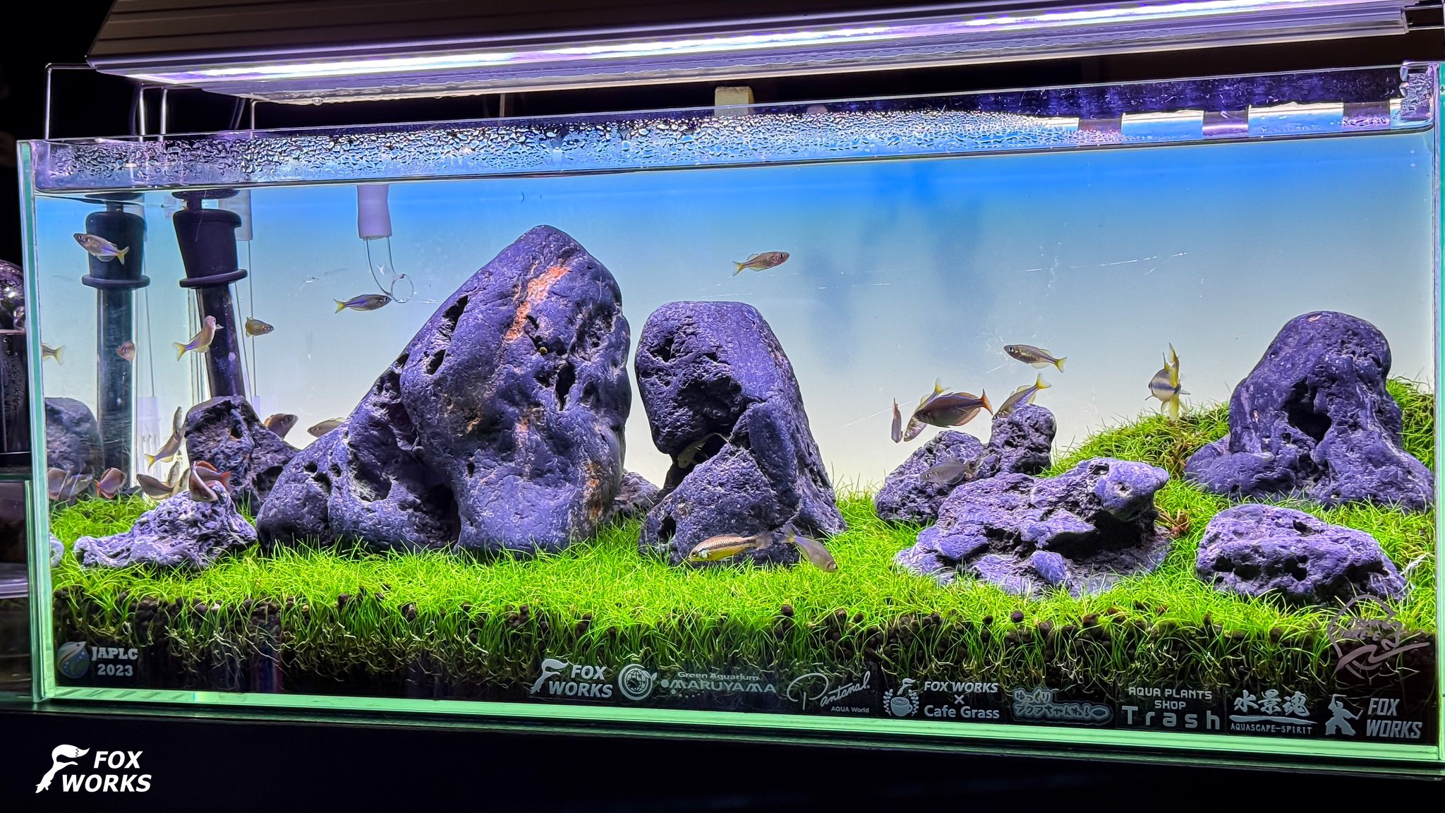 八海石 - Search / X