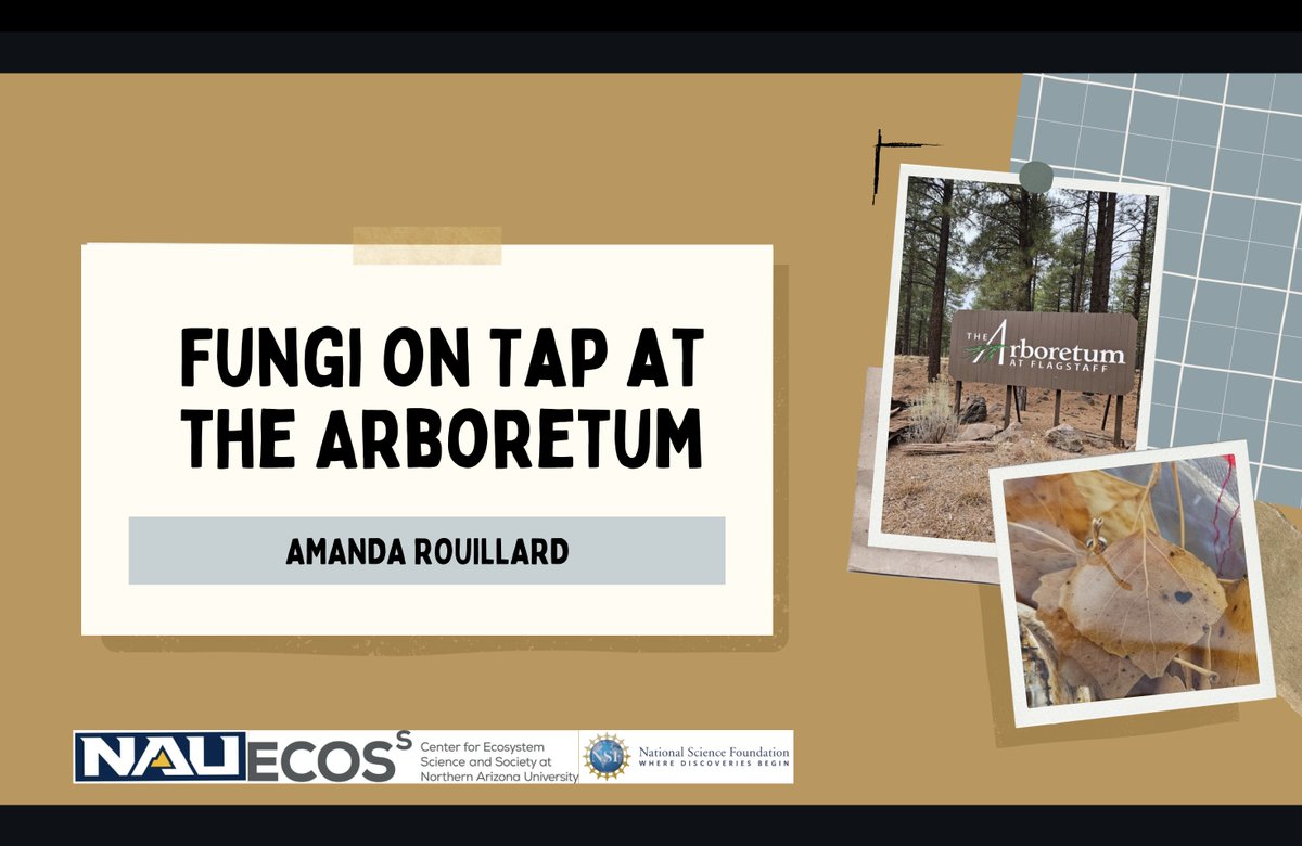 EcossNAU (@ecossnau) on Twitter photo Join Ecoss grad student <a href="/ARouillard01/">Amanda Rouillard</a> for ALES WITH THE ARB at Dark Sky Brewery! You can support our local arboretum, have some drinks, and learn about fungi in a casual and approachable event.
Date: Wed, Dec 18 (TOMORROW!)
Time: 6:00 - 7:30 Join Ecoss grad student <a href="/ARouillard01/">Amanda Rouillard</a> for ALES WITH THE ARB at Dark Sky Brewery! You can support our local arboretum, have some drinks, and learn about fungi in a casual and approachable event.
Date: Wed, Dec 18 (TOMORROW!)
Time: 6:00 - 7:30