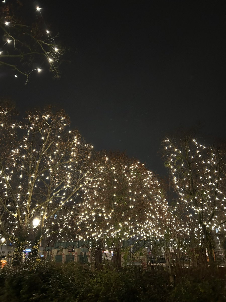 Laura Jansen tweet media