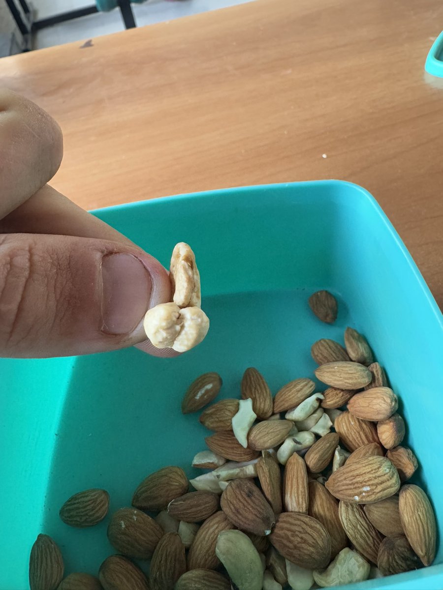 Yo solo veo una castaña de Cajú pero ustedes seguro ven otra cosa manga de mal pensados hijos de puta