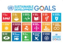 _Ewafula's tweet photo. Only 5 years to 2030! 
What if Small-scale farmers are empowered?
They can play a key role in achieving SDGs by:
Creating sustainable food systems
Addressing hunger &amp; malnutrition
Promoting gender equality
Tackling climate change
Improving nutrition
Securing stable supply chains https://t.co/KuXODaQkaf