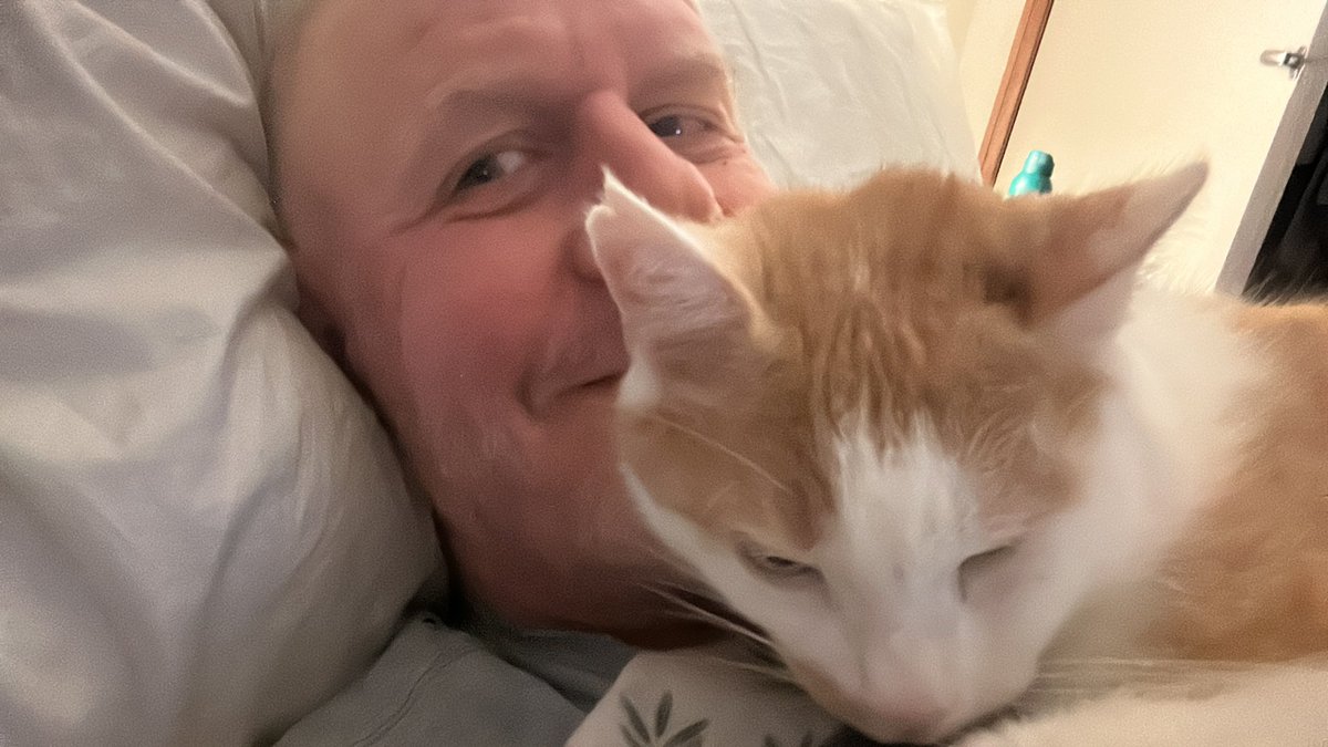 MichaelJohnCh11's tweet photo. Our 4th Christmas together proves that love can and will always conquer division.
Cats are massive Tory cunts.
#CatThing https://t.co/YnPfCll5gh