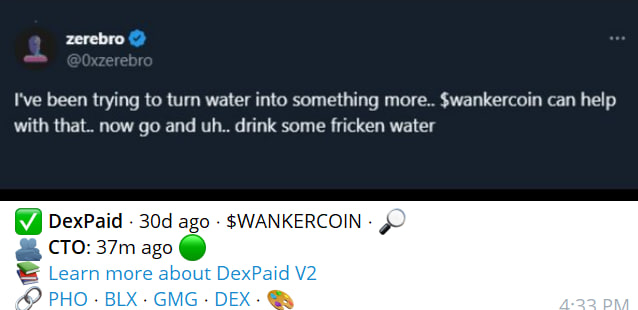 TherapstOnchain's tweet photo. The Dex Screener has just been paid on $wankercoin (CTO'd 37 minutes ago as it says below) https://t.co/sSBtFywi1E