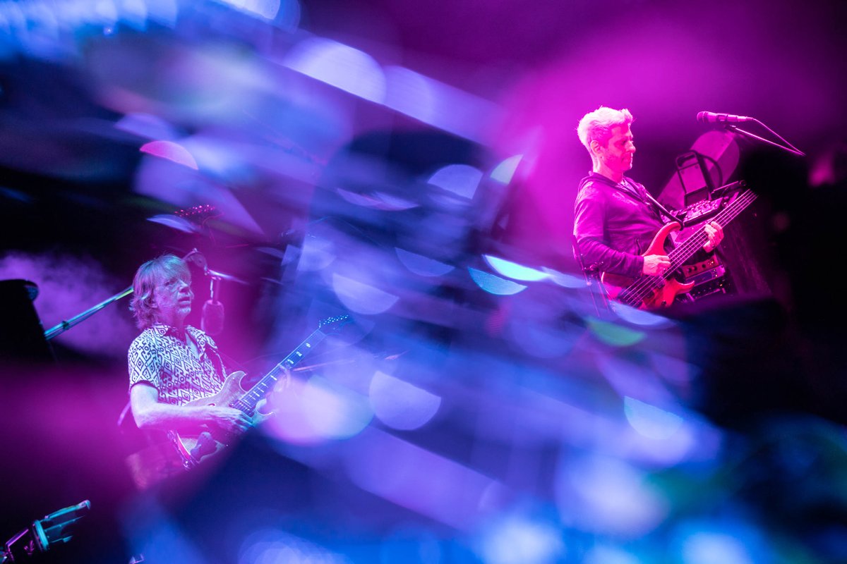 11 days until Phish's return to Madison Square Garden. 
<a href="/TheGarden/">MSG</a> 

📷 Rene Huemer