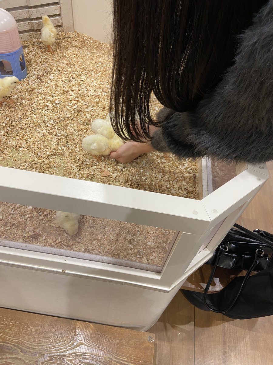 だまるちゃん(5)💰 tweet media