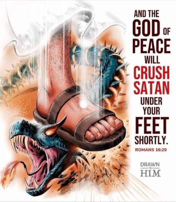 John Patrick tweet media