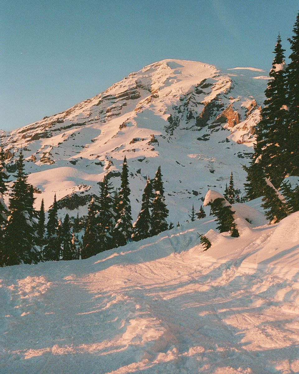 The Skyline Loop Trail is the most popular adventure out of Paradise on the southern side of @mountrainiernps! Featuring breathtaking mountain and glacier views, this hike is a must-try✨

📸 @leeshtravels
📍Skyline Loop Trail, @mountrainiernps, Washington
bit.ly/4fHqNMw
