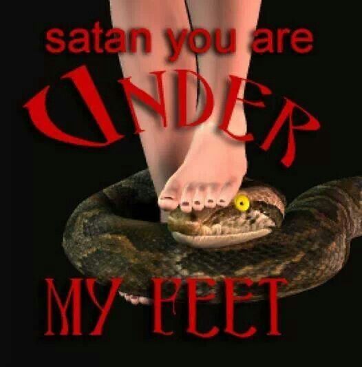 John Patrick tweet media