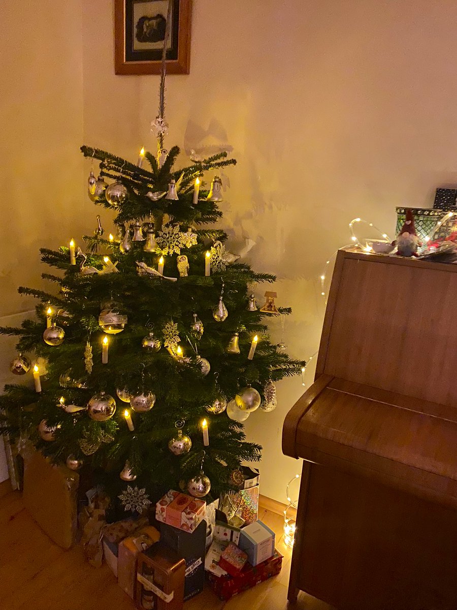 So it‘s up … 🎄✨❤️🧑🏼‍🎄