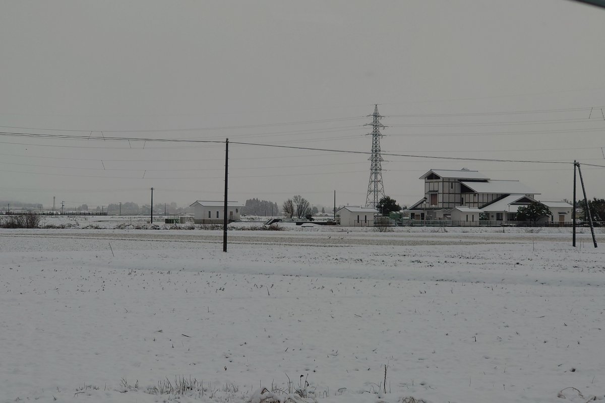 今年は雪が積もるの早くないですか…。初雪は既にあったけど、たぶん積もるのは今シーズン初めて。まだ除雪する。どではないからいいけど、これからが思いやられる…。

#鶴岡市 #積雪