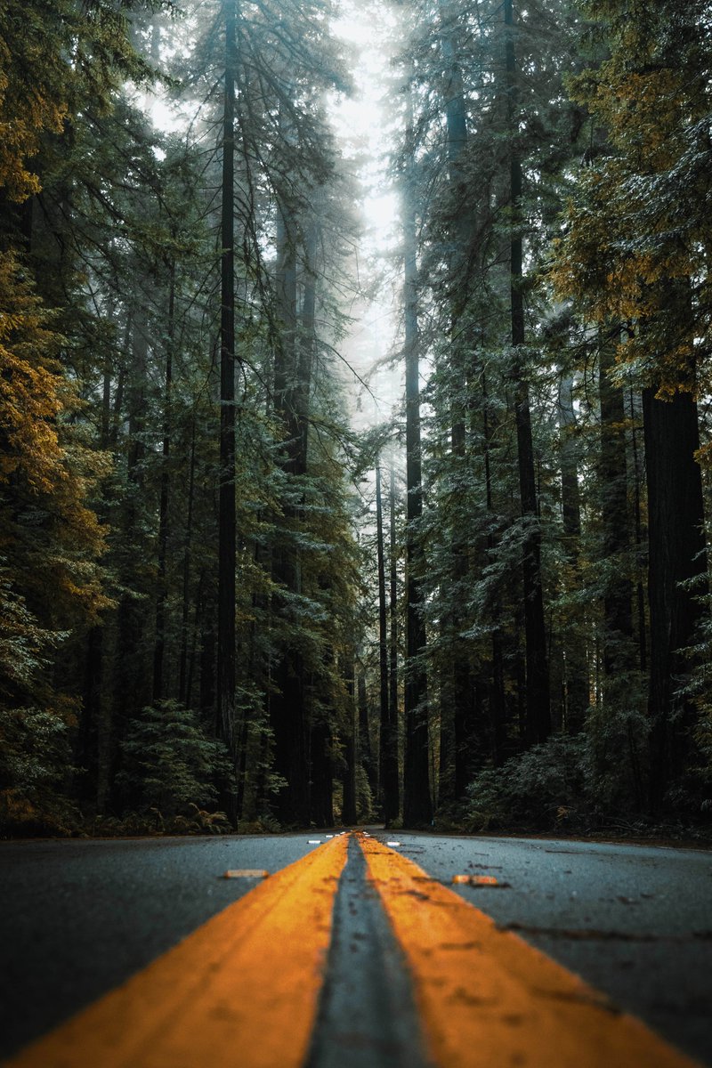 Hunter Rayl | Photographer tweet media
