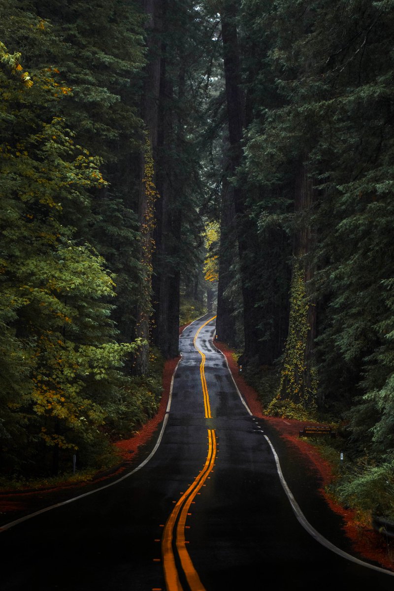 Hunter Rayl | Photographer tweet media