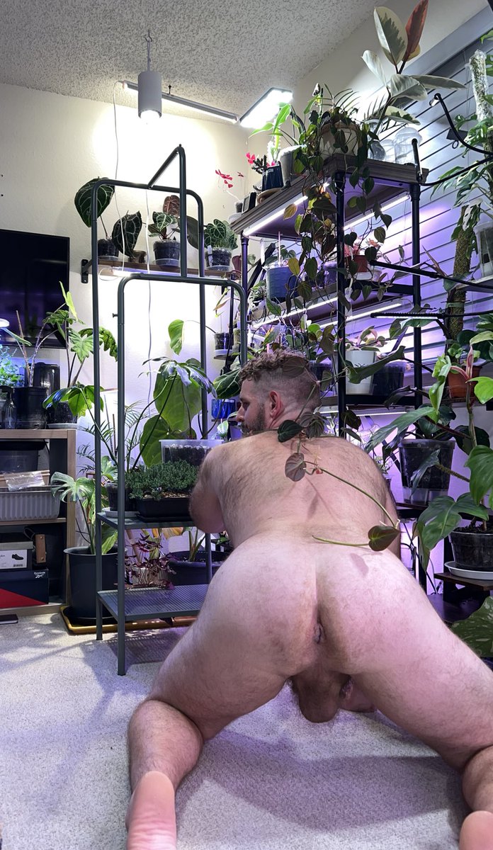Content from houston_sex69