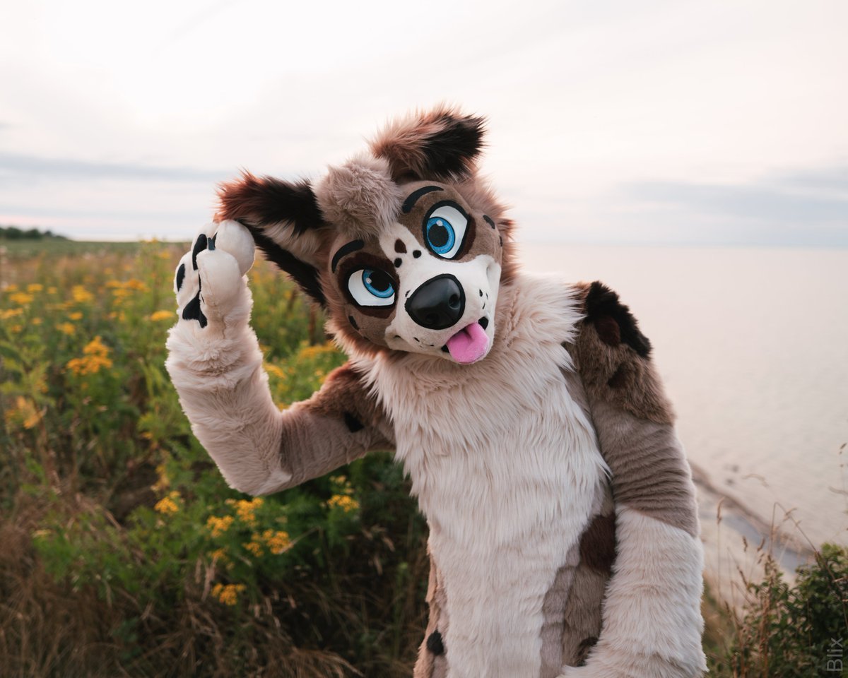 How do I look without 💾 floppy ears?
Unflops the Flop.

🧵<a href="/AlphaDogsStudio/">Alpha Dogs</a>
📷<a href="/Yakul_dragon/">Yakul</a>

#fursuit #furry #FursuitEveryday