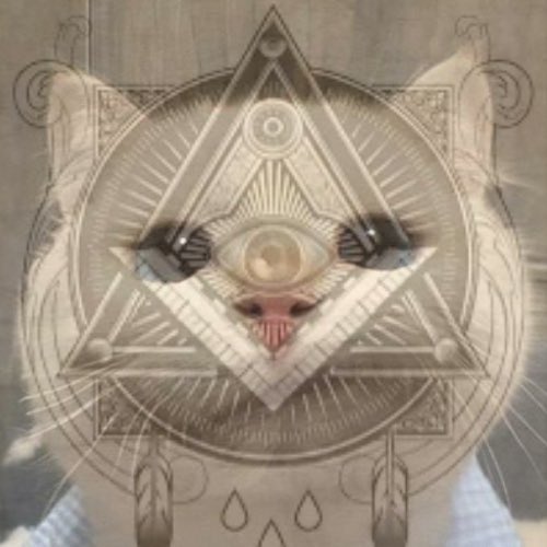 Bruh (@bruh_ctox) on Twitter photo 