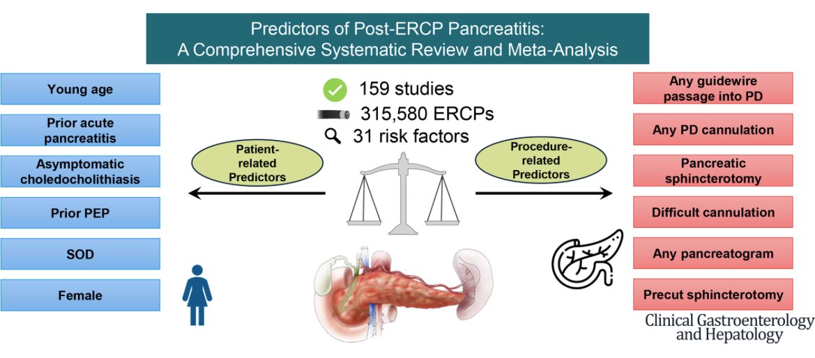 Azizullah Beran, MD, ABOM-D (@azizullahberan) on Twitter photo 🚨 Excited to share our latest paper on predictors of post-ERCP pancreatitis (PEP) from <a href="/IUGastro/">Indiana University Gastroenterology and Hepatology</a> , published <a href="/AGA_CGH/">CGH</a> <a href="/AmerGastroAssn/">American Gastroenterological Association (AGA)</a>
Key Findings:
🔑 Patient-related predictors:
•Prior acute pancreatitis
•Age ≤40
•Asymptomatic CBDS
•Prior PEP
•SOD
•Female gender
🔑 🚨 Excited to share our latest paper on predictors of post-ERCP pancreatitis (PEP) from <a href="/IUGastro/">Indiana University Gastroenterology and Hepatology</a> , published <a href="/AGA_CGH/">CGH</a> <a href="/AmerGastroAssn/">American Gastroenterological Association (AGA)</a>
Key Findings:
🔑 Patient-related predictors:
•Prior acute pancreatitis
•Age ≤40
•Asymptomatic CBDS
•Prior PEP
•SOD
•Female gender
🔑