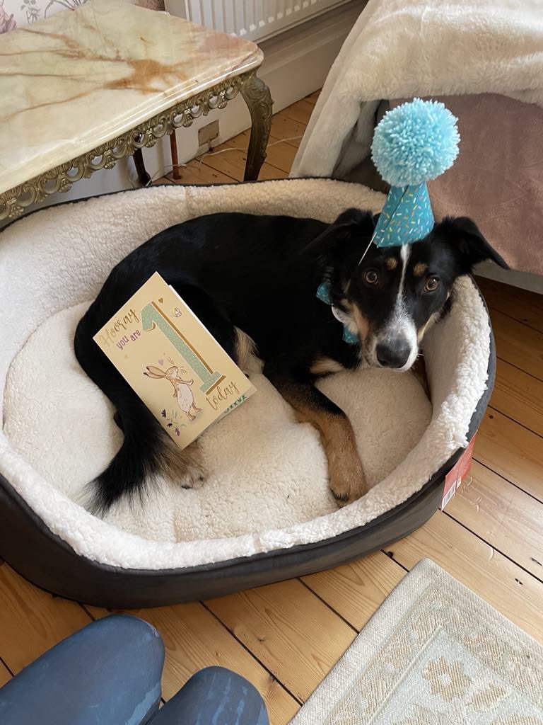 Emma Broadbent tweet media