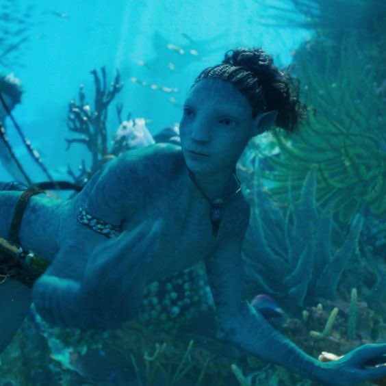 merfolklegacy's tweet image. ----;
Introducing a ...

           Wizarding World OC

                     Kai Rivers

Born of a mer-person and a human.
Attends Hogwarts as a year 5 student.
Era flexible.