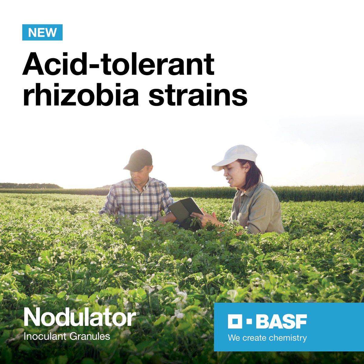 BASF Agricultural Solutions Australia tweet media