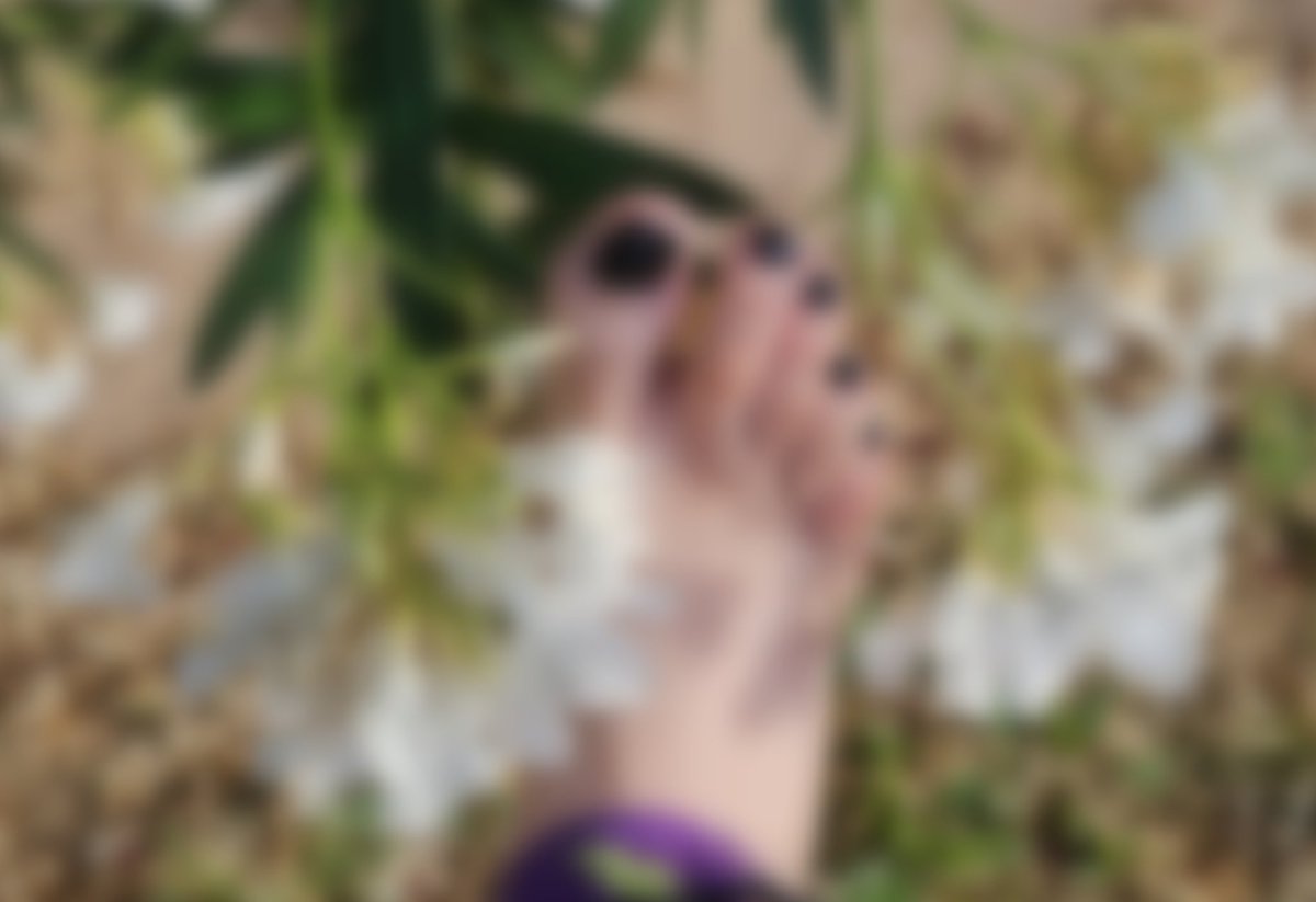 MissaAthenaAte's tweet photo. To chat or buy pics through my feet finder 

https://t.co/bEljNMpdAb

https://t.co/8iDlVMX3b5

#feet #feetmodels #feetmodel #feetgram #prettyfeet #prettyfeetgang  #footphotography #pedi #pedicure #pedicurespa
#pedicuredtoes #toes #widetoes #flexibletoes #flexibletoe #flexiblefeet https://t.co/yNf59GUUXi