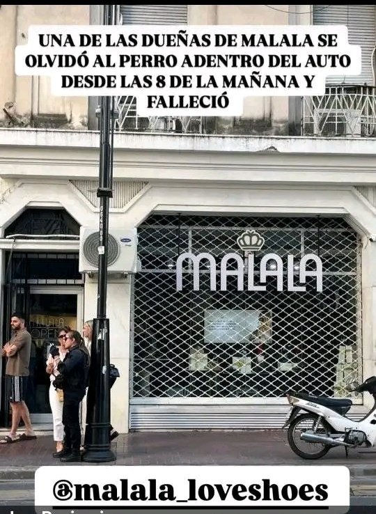 𝗕𝗮𝗿𝗯𝗶 🇦🇷 tweet media