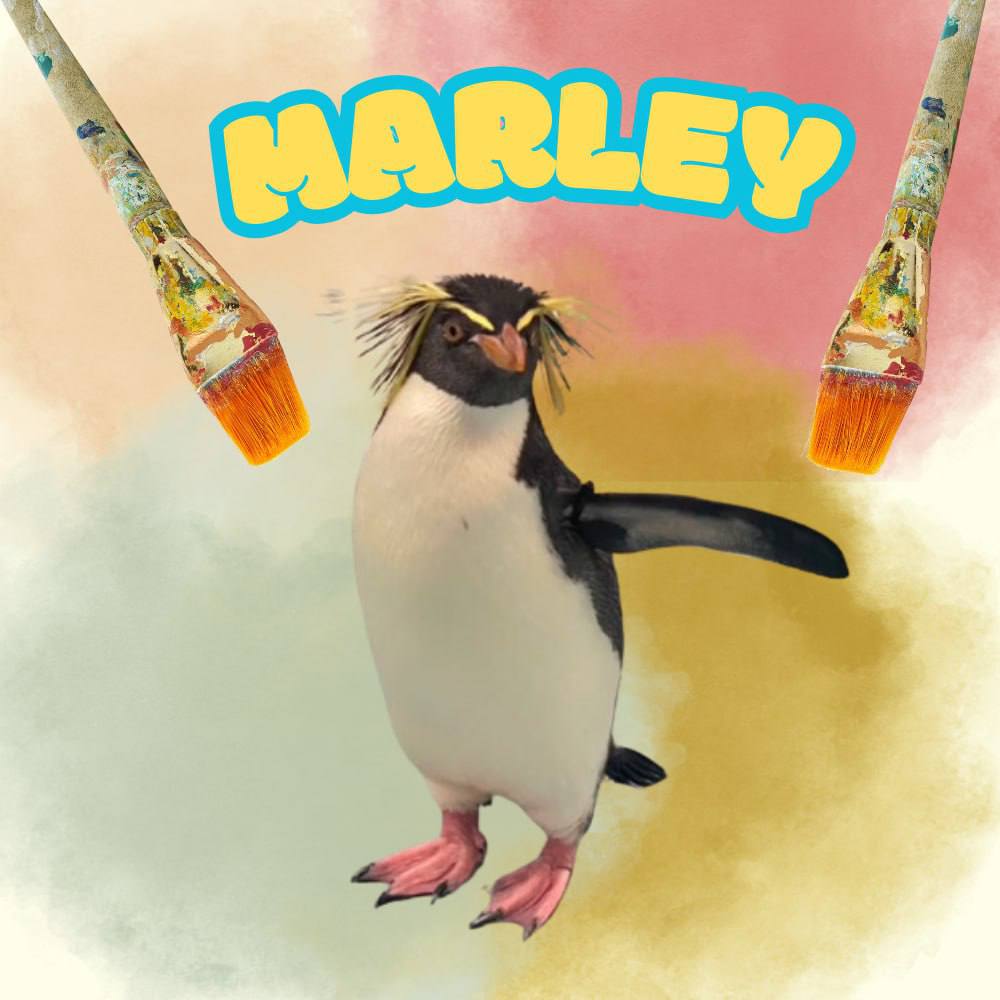 Believe in something $MARLEY

CA: 6hUL7FDwjMQHCrn7shduiVpKVMvEifxwGjFS8ZJMpump