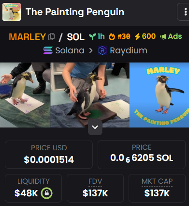 MarleyThPenguin's tweet photo. #30 Dexscreener

We are just starting https://t.co/aj373XLdUO