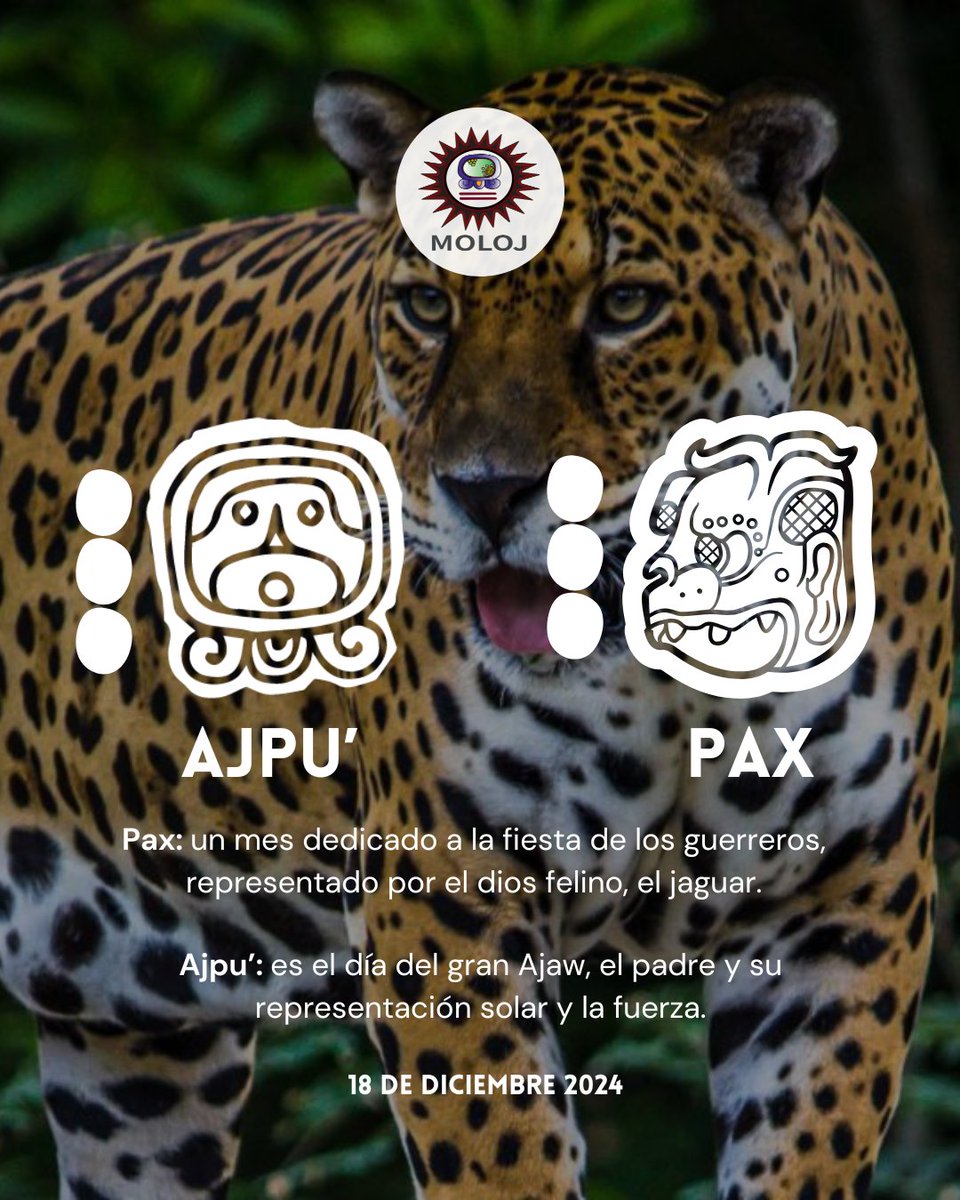 asociacionmoloj's tweet photo. #Ajpu ☀️ | Agradecemos al abuelo Ajpu' por su fuerza y certeza en nuestras palabras y acciones.🔥📣
#espiritualidadmaya
#palabras
#fuerza https://t.co/fYzUot71Oo