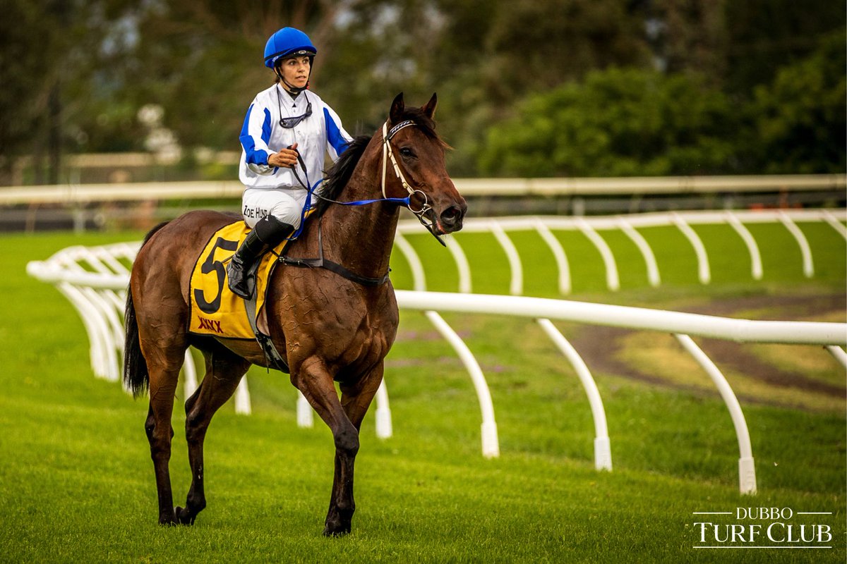 The Dubbo Turf Club recently completed an upgrade of the course proper running rail to the industry leading Mawsafe PVC rail.

Co-funded by <a href="/racing_nsw/">Racing NSW</a> , Racing NSW Country and the Dubbo Turf Club, the roll-out of new PVC running rail enhances safety for both horses and riders.