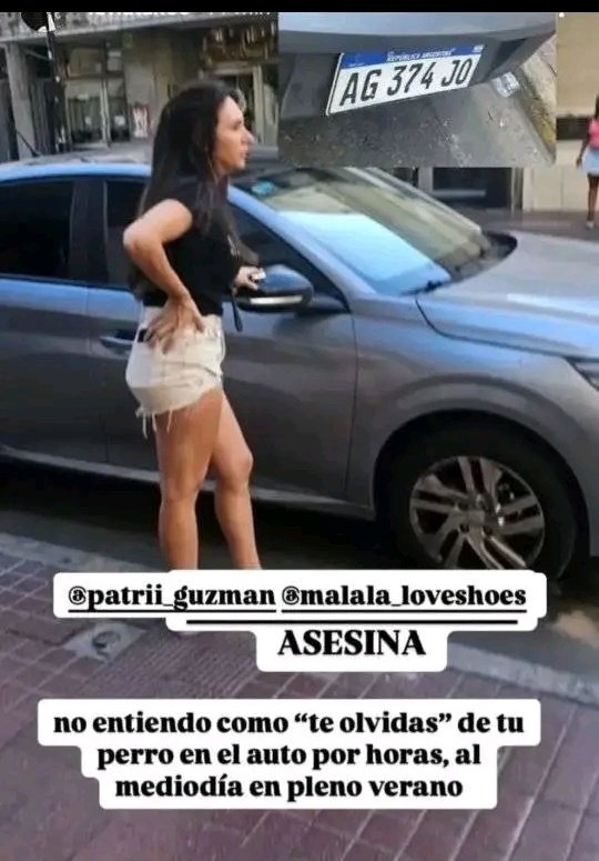 𝗕𝗮𝗿𝗯𝗶 🇦🇷 tweet media