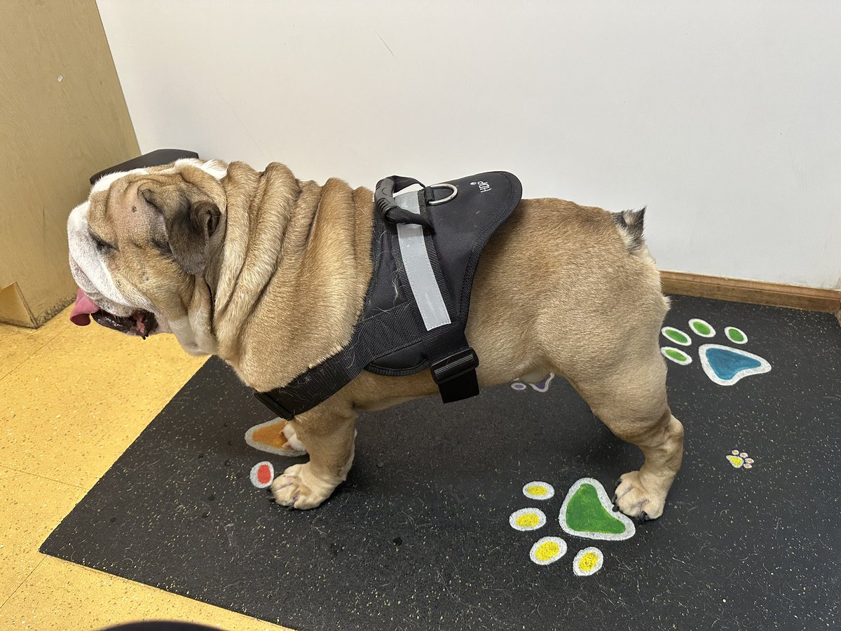 Big Albert & Fat Russell 🌈OTRB tweet media