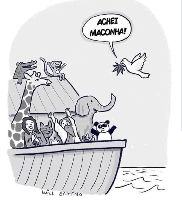 DeBoaHomer's tweet photo. E foi assim que o pombo se tornou o símbolo da paz https://t.co/MSqjYzuOdO