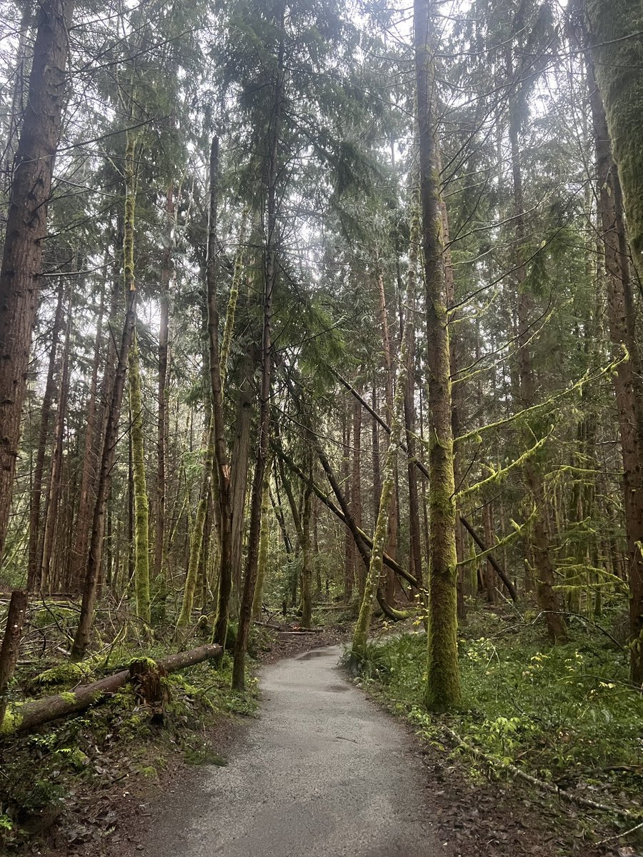 Daily reminder to get outside.