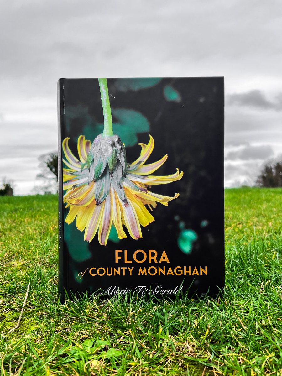 After almost 10 years of work, my first book has finally arrived, Flora of County Monaghan, published by Wordwell - with 310+ colour images and 7 intro chapters, there are over 1,200 species accounts included, all about the many plants that make or have made Monaghan their home