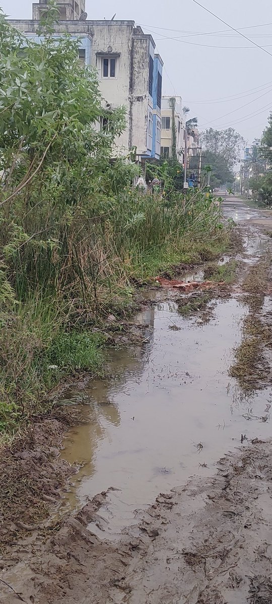 Vikram_Joshua's tweet photo. Please help us. This is the state of almost all the roads behind the Kilambakkam bus stand. Godavari nagar is this area. Please help us sir. @mkstalin @Udhaystalin @Office_of_Udhay @PKSekarbabu https://t.co/ImZr62kYkT