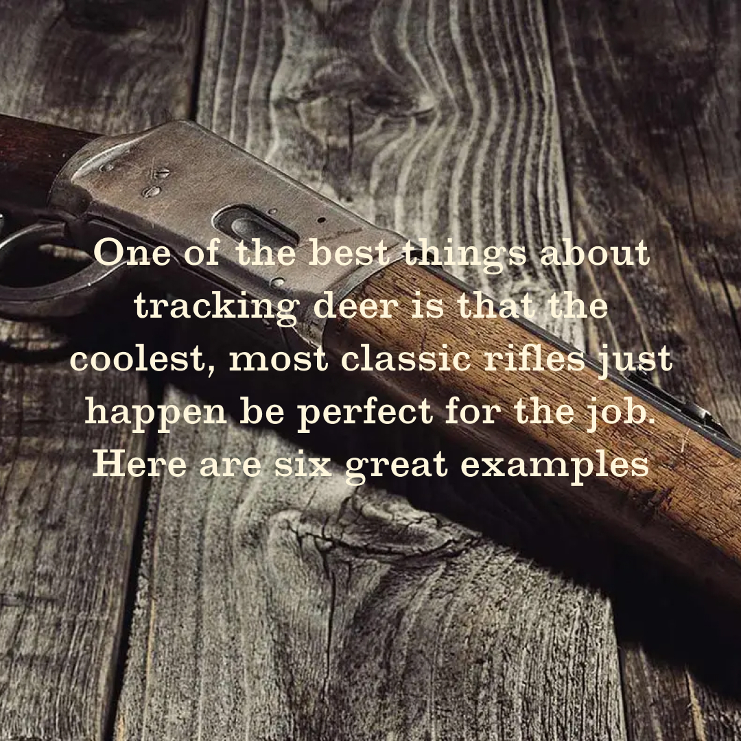 FieldandStream's tweet image. One of the best things about tracking deer is that the coolest, most classic rifles just happen be perfect for the job.

Here are six great examples - fieldandstream.com/guns/best-clas… 💥

#TheLegendLives #GunReview #Outdoors