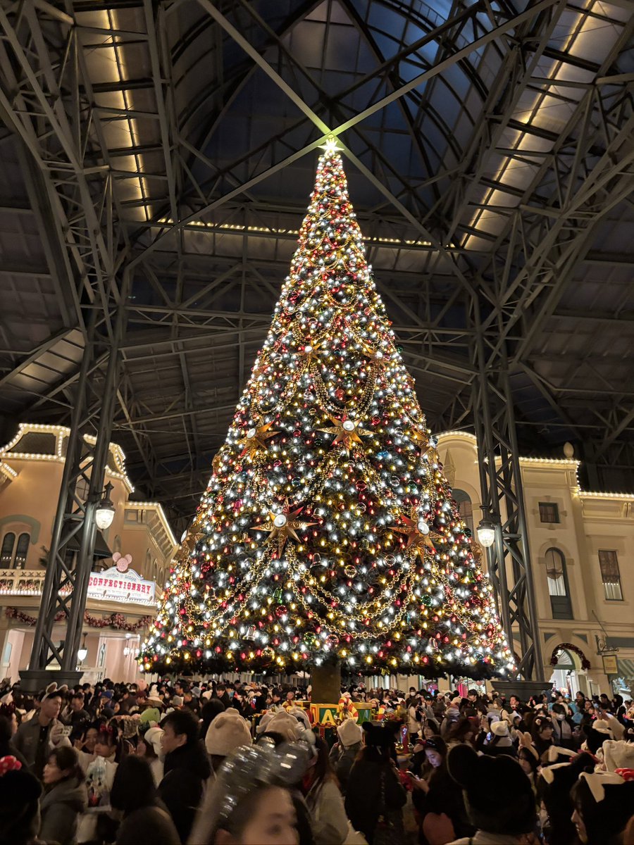 47_os's tweet photo. ランドは小学生ぶりでした。ネズミ達の力は圧巻だった。この子にはサンタから女ネズミのぬいぐるみが届くでしょう。 https://t.co/1ZvP2RyLC3