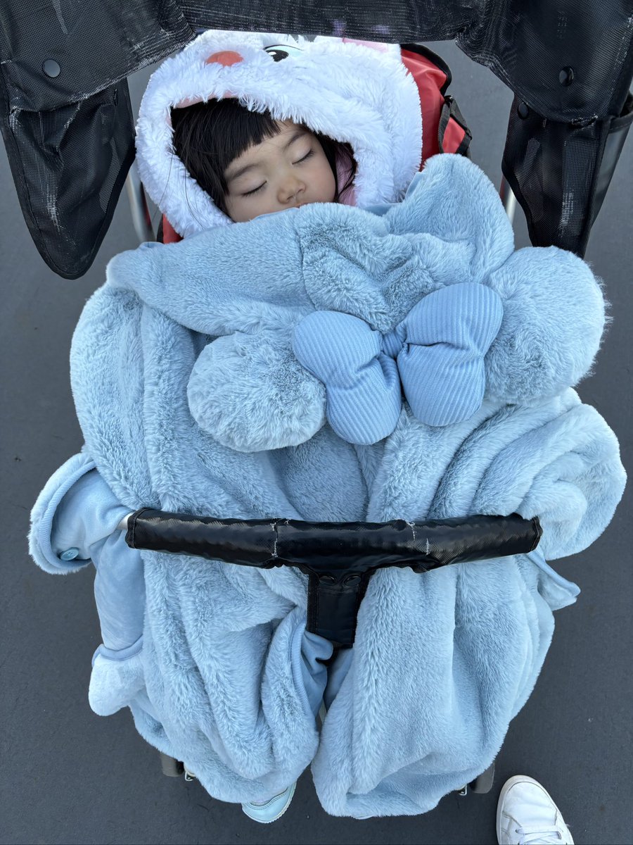 47_os's tweet photo. ランドは小学生ぶりでした。ネズミ達の力は圧巻だった。この子にはサンタから女ネズミのぬいぐるみが届くでしょう。 https://t.co/1ZvP2RyLC3