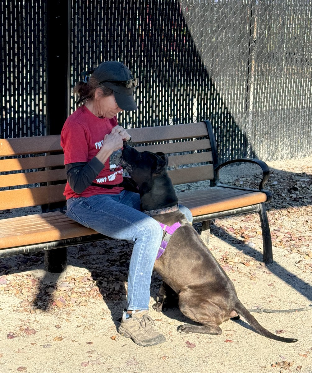 Have we mentioned before that Smokey LOVES his people?

We really can’t say it enough - once given the chance, he is such an amazing companion. 

Please keep sharing for Smokey. And please, if you have the room in your heart, ask about adopting him today.