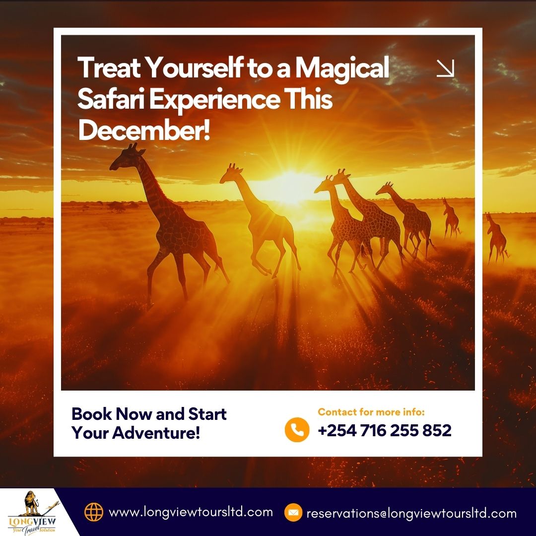 LongviewTravel's tweet photo. 📷📷 Treat yourself or your loved ones to a magical safari experience this December! 📷 Create memories that will last a lifetime with Longview Tours and Travels. 📷 Book your safari today!
📷 Call/WhatsApp: +254 716 255 852 | +254 706 542 245
#SafariAdventures #ExploreEastAfrica https://t.co/Dhb5gxu3Oe
