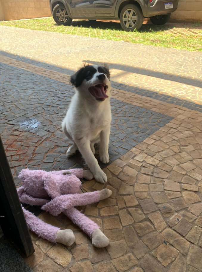 UmaIncerteza's tweet photo. Amelia sendo a coisa mais linda https://t.co/Zp54Ilqymj