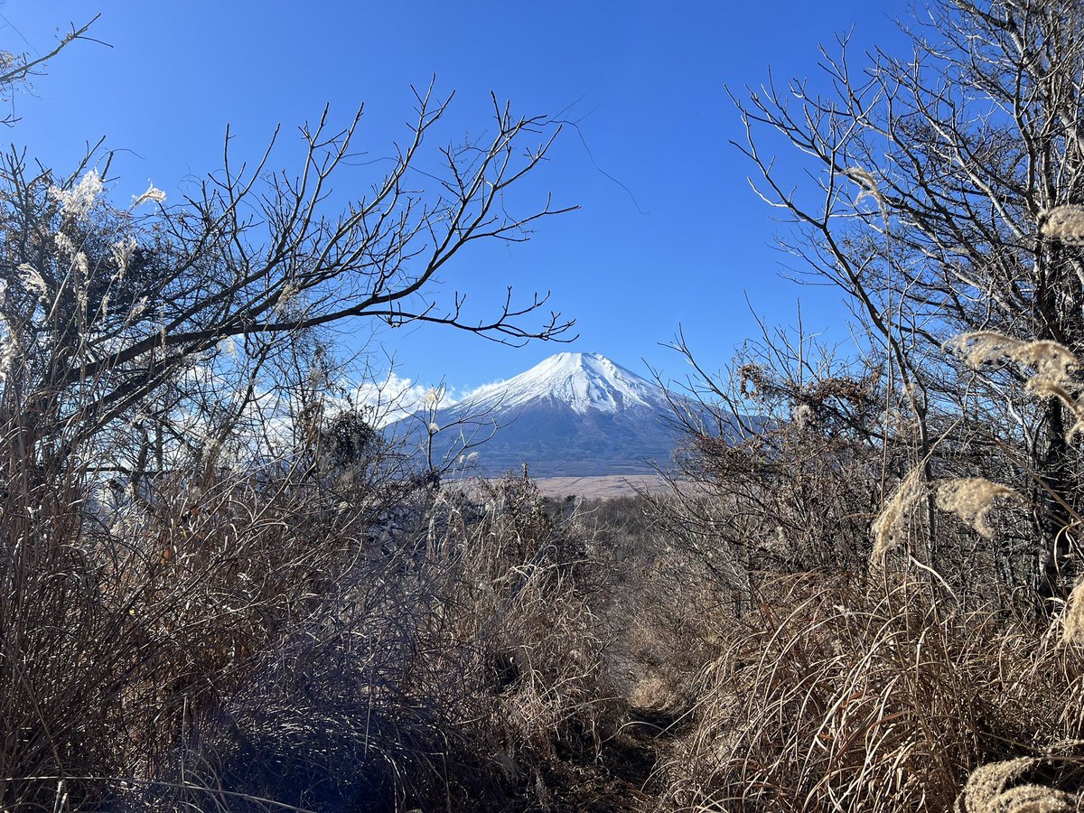 tomoe_w_p's tweet photo. 忍野で現調なので、その前に一登り⛰️とカフェでランチ🍛
#忍野村
#登山
#現場女子 https://t.co/ZvWmSFQy02