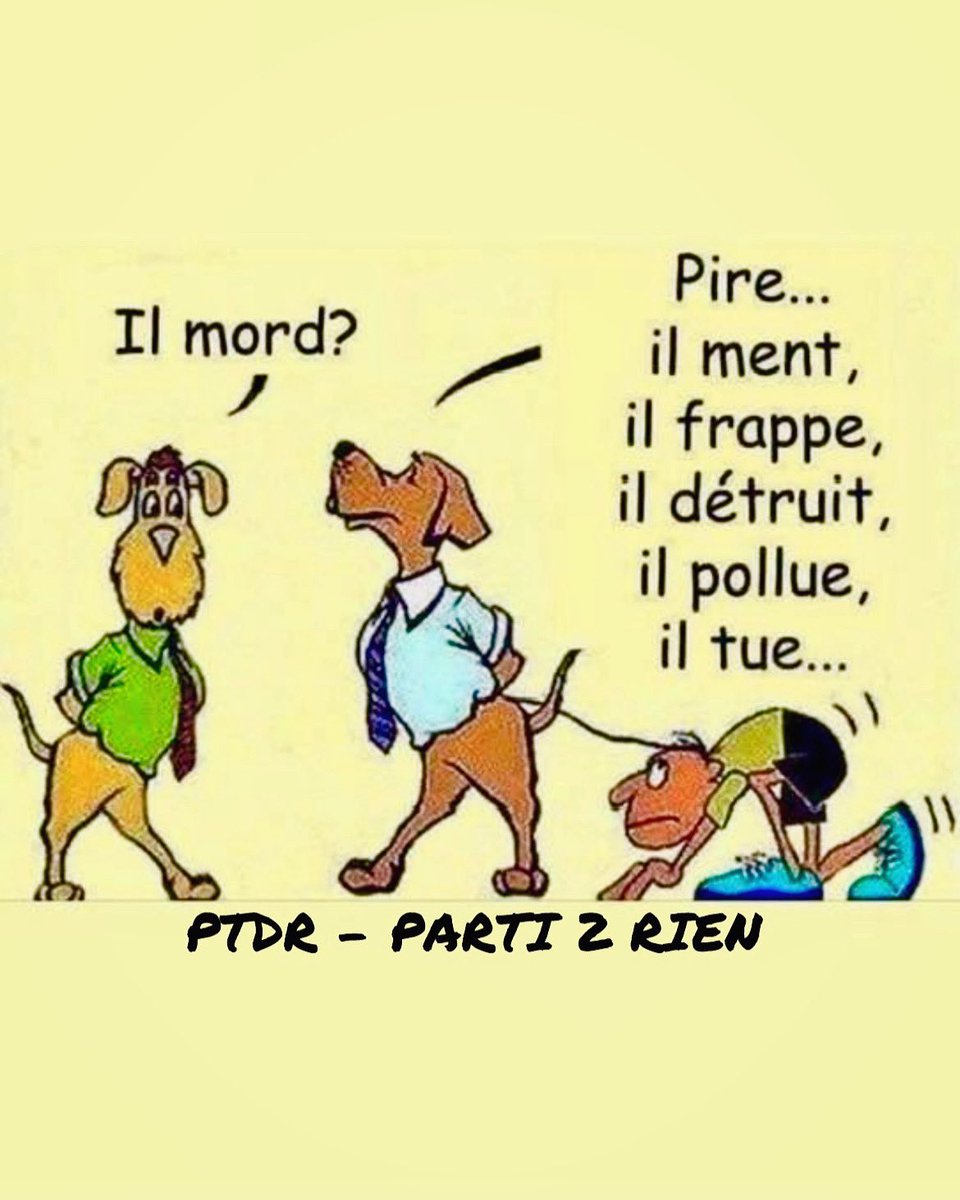 PTDR Parti De Rien tweet media