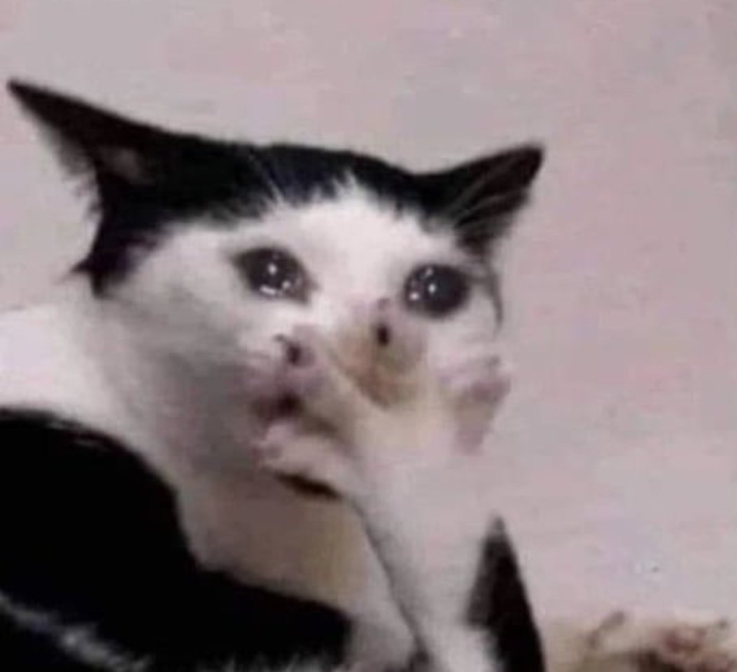 This is really life??